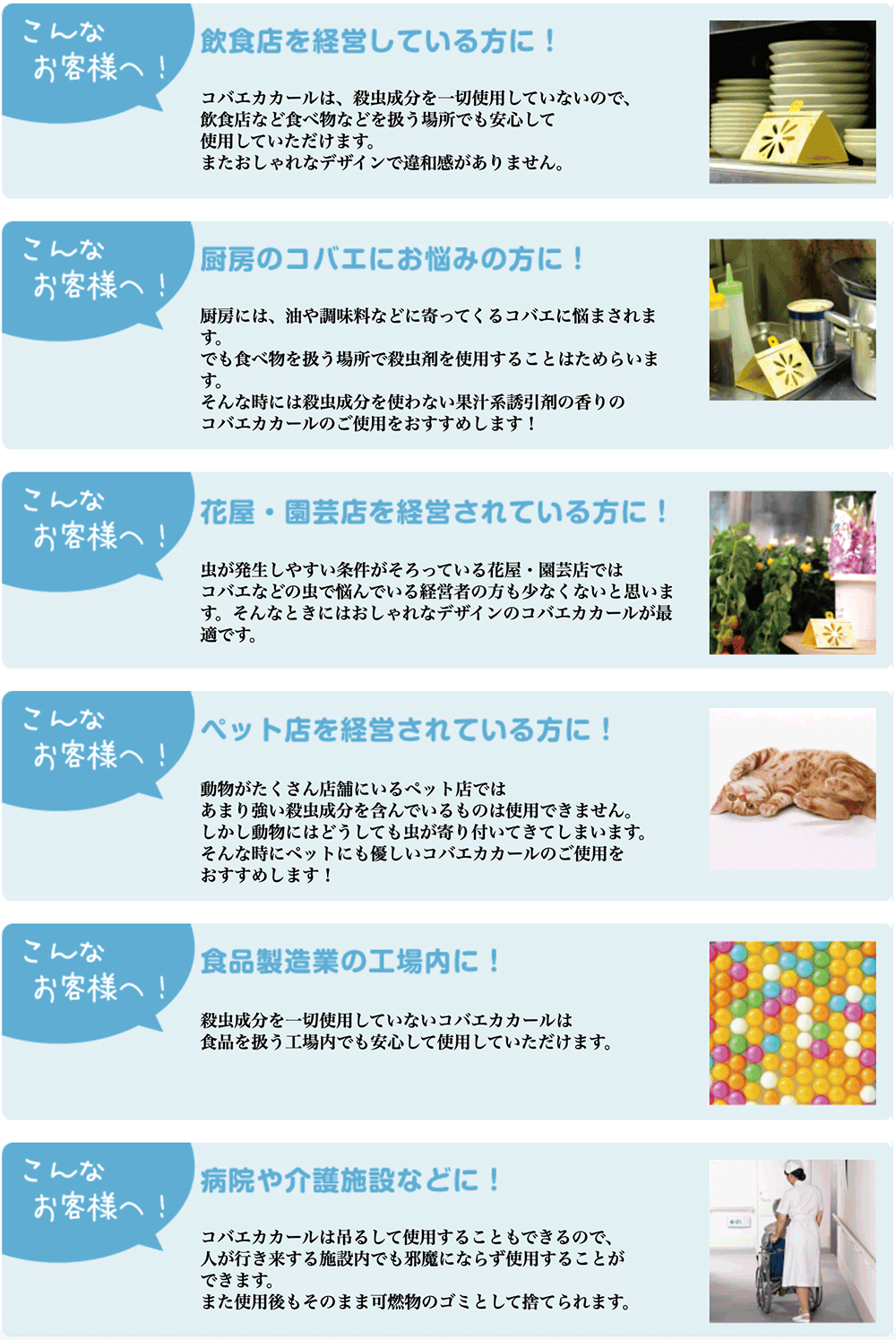 コバエカカ〜ル